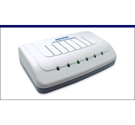 REPOTEC 5-P Fast Ethernet Web Smart Switch | RP-500WB