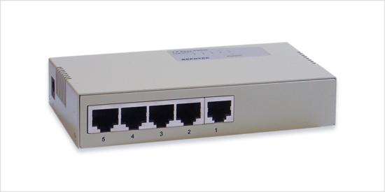 fast ethernet switch