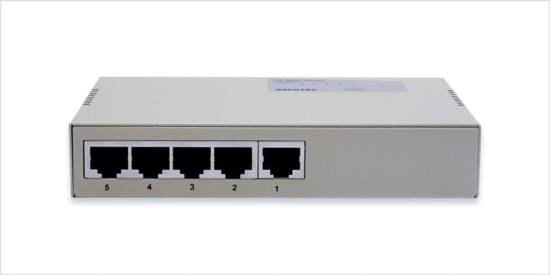 fast ethernet switch