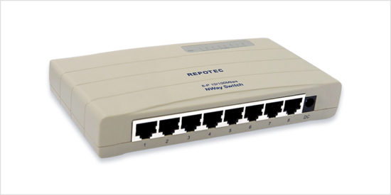 fast ethernet switch