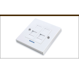 REPOTEC Ethernet Face Plate | RP-FP0627